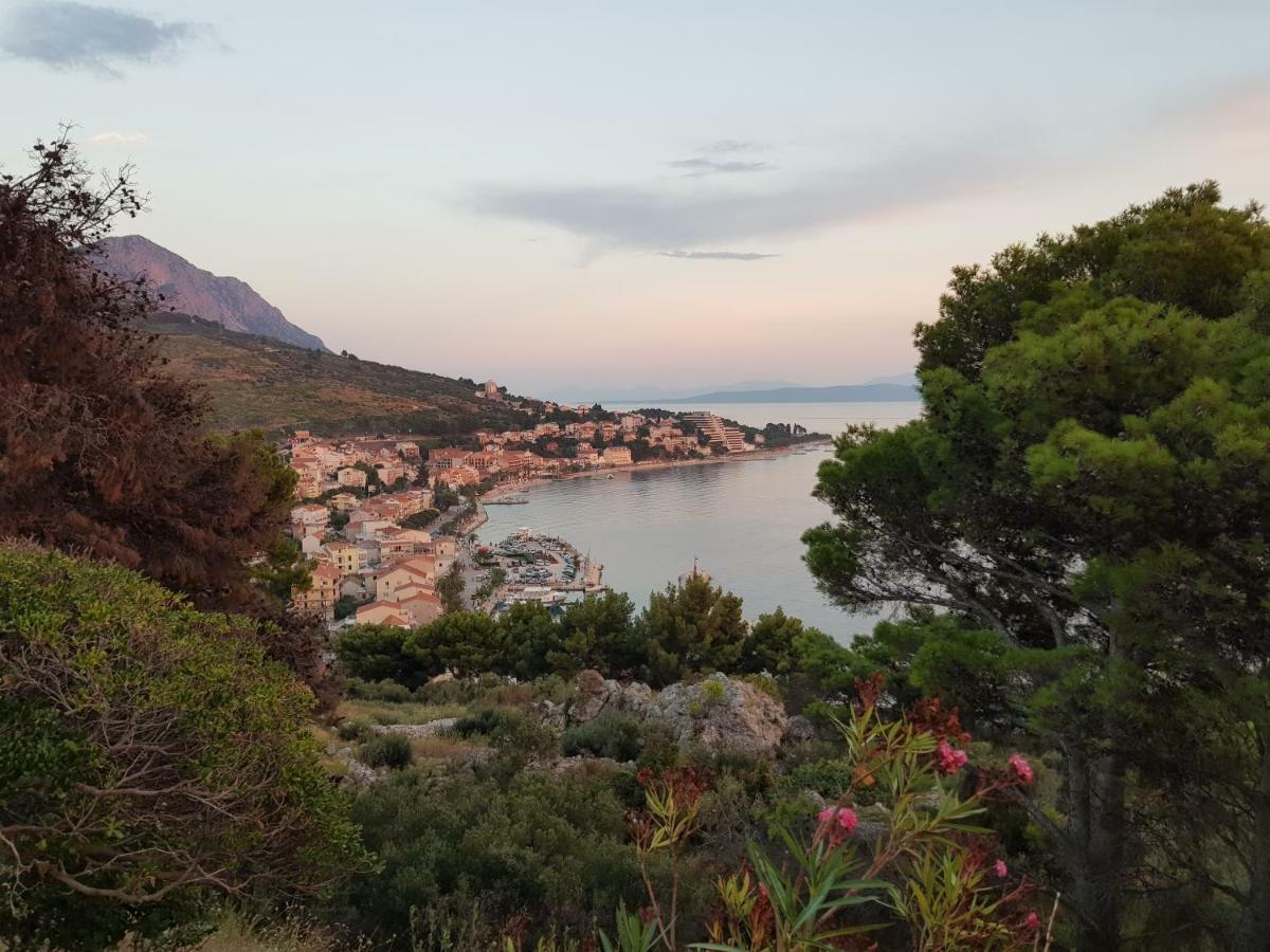 Apartmani Baresic Podgora Exterior photo