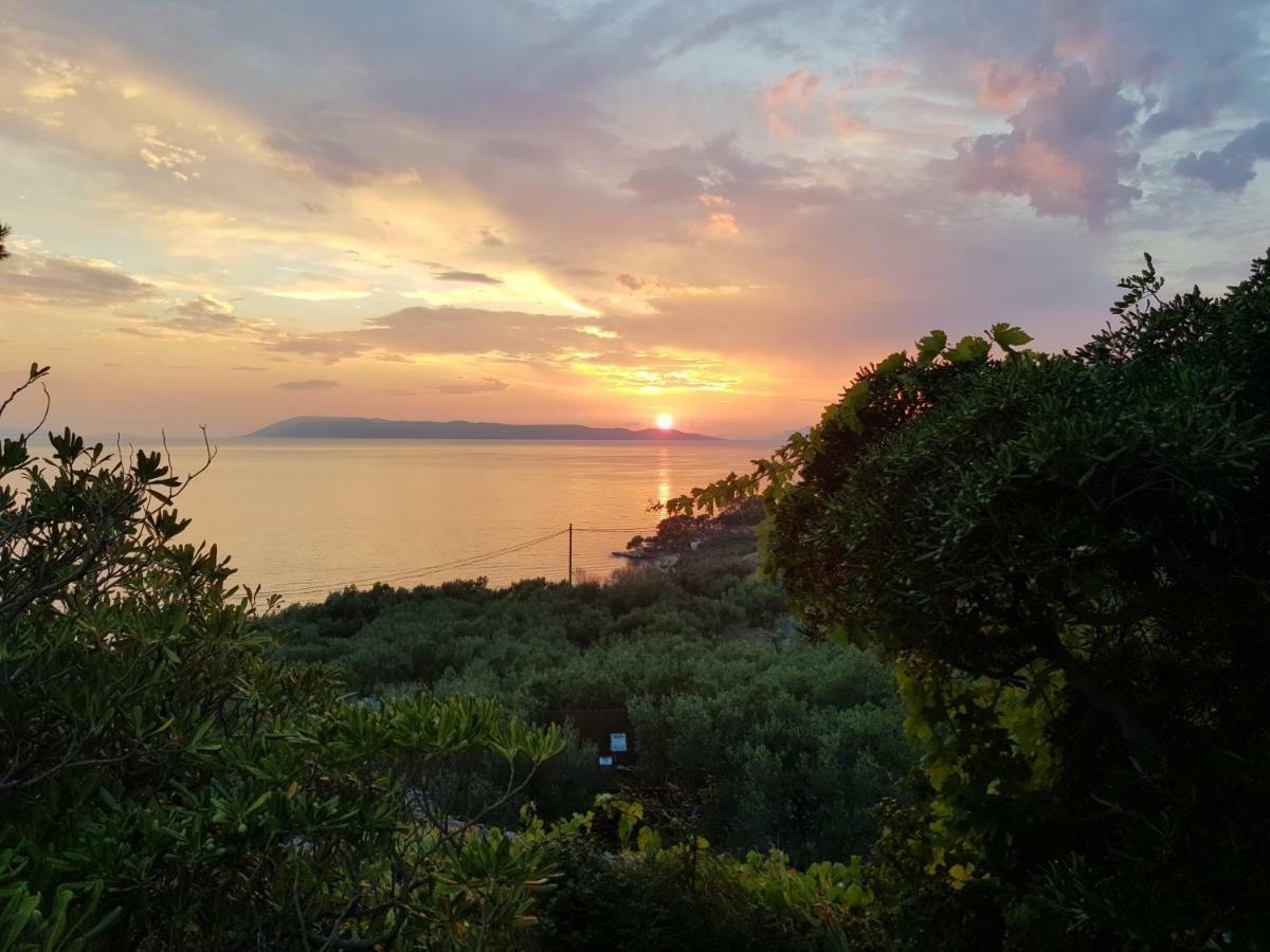 Apartmani Baresic Podgora Exterior photo